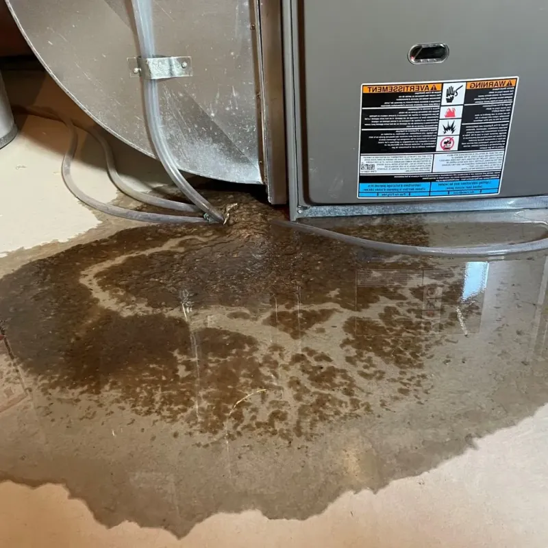 Pipe Burst and Leak Restoration in Osage City, KS