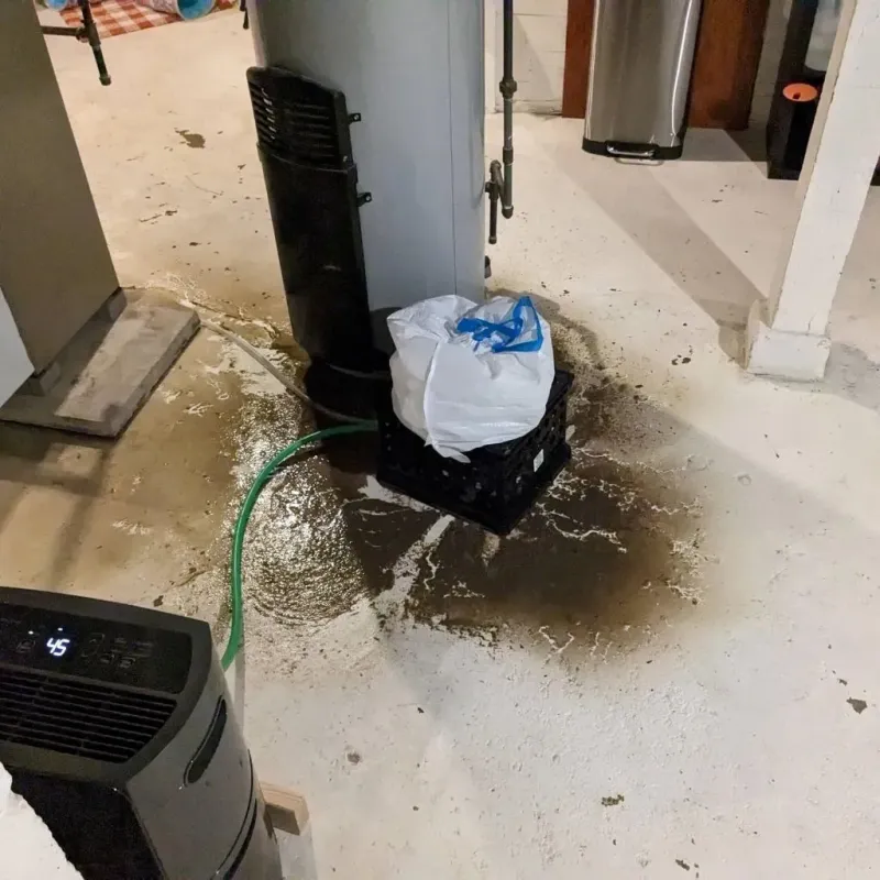 Sewage Backup Cleanup Service in Osage City, KS